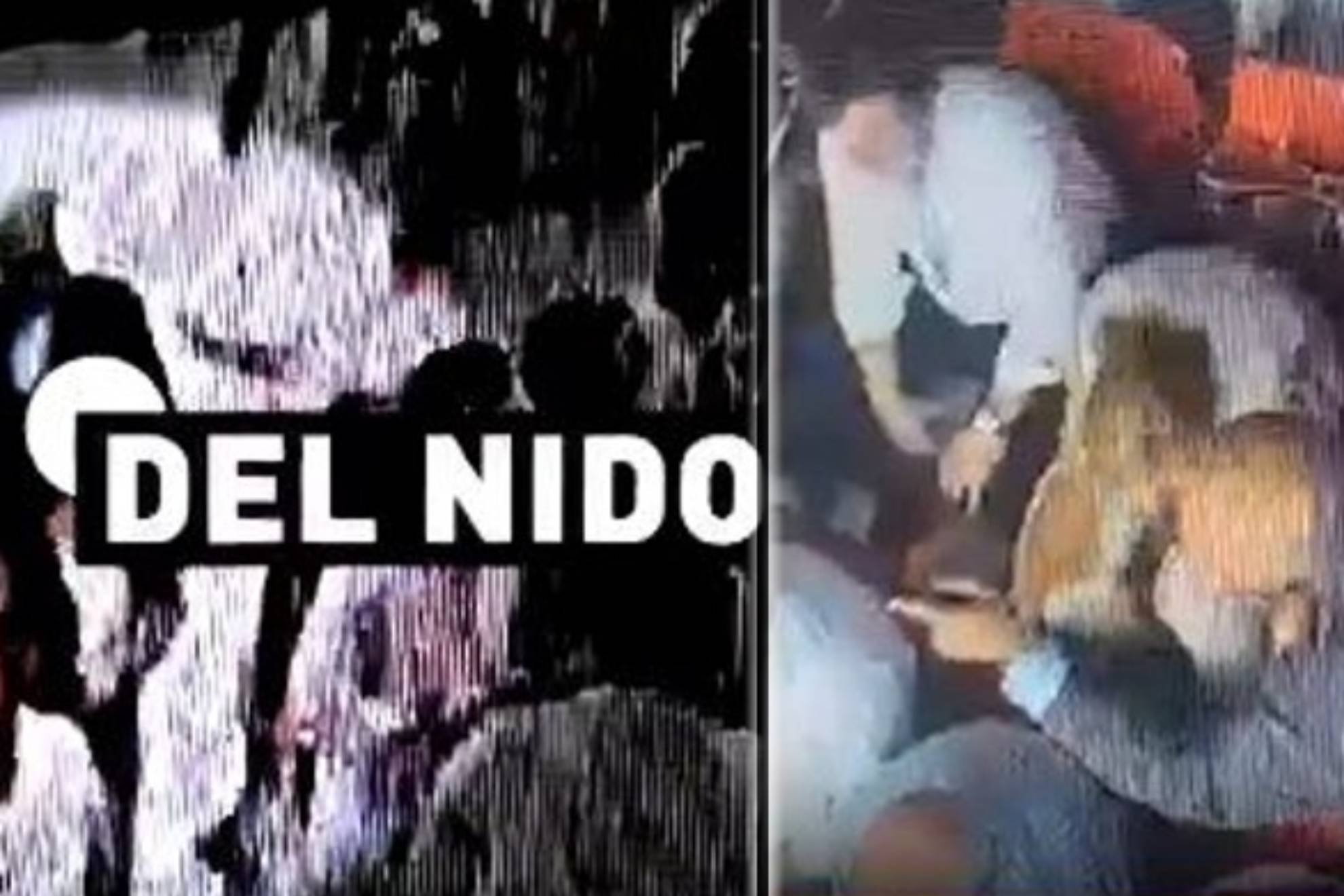 神的传递 神的传递