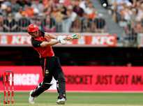 集体意志 集体意志