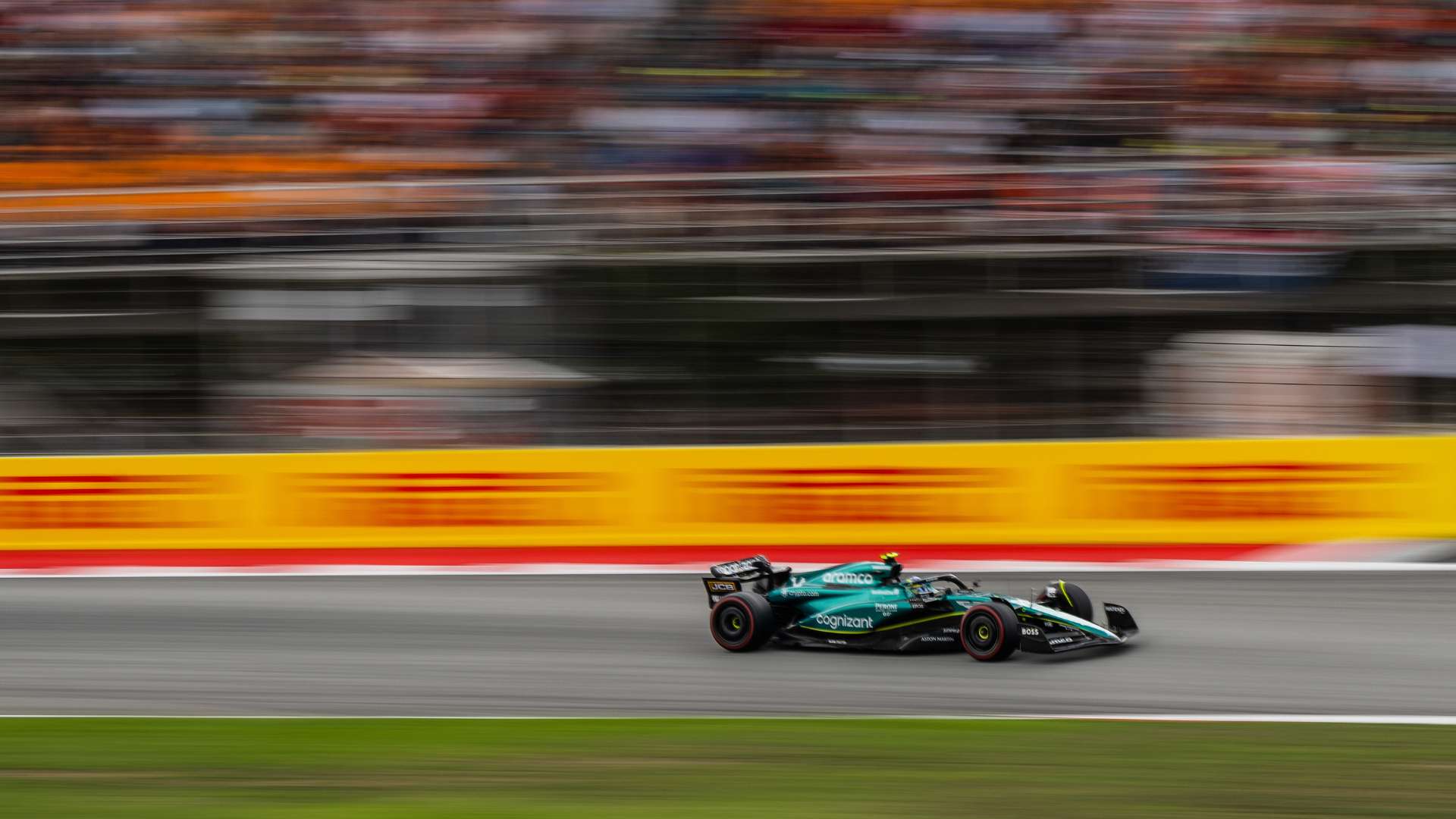 森林狼队在 森林狼队在